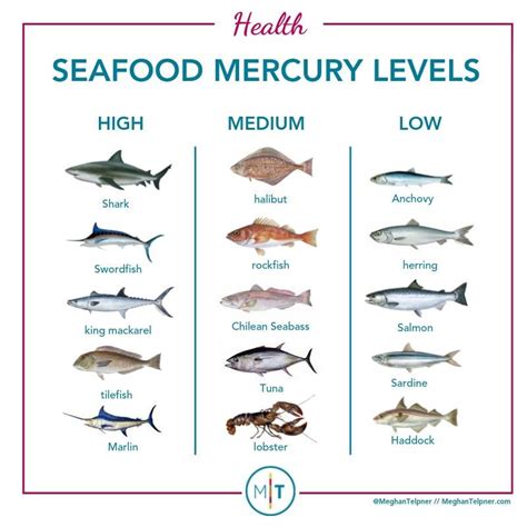 6 Sustainable and Healthy Fish to Eat (And 4 Types to Avoid).